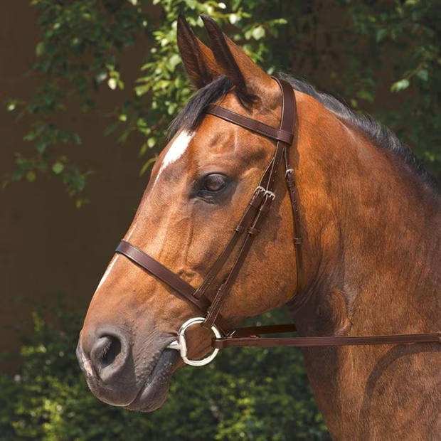 Requisite Snaffle Bridle with Reins