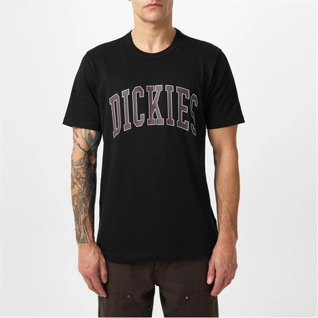 196714-dickies-aitkin-t-shirt-1.jpg