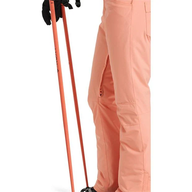 214419-roxy-backyard-snow-pants-womens-1.jpg