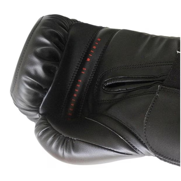 225233-everlast-elite-pro-hook-loop-1.jpg